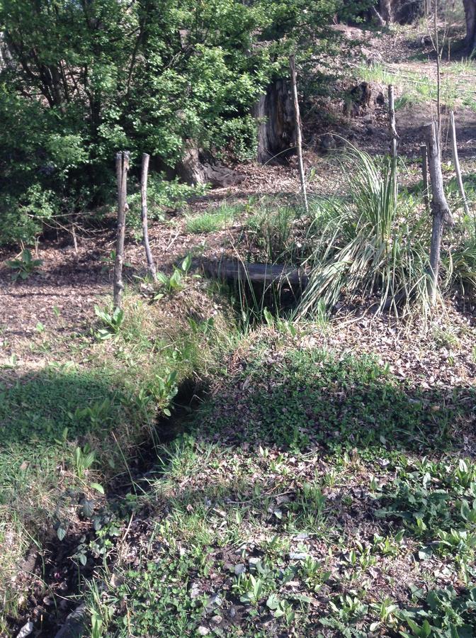 Mil Piedras Cabins Potrerillos Ngoại thất bức ảnh